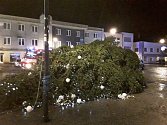 Spadlý vánoční strom v Chocni