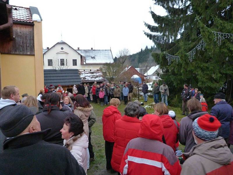 V Mladkově mají nejvyšší živý vánoční strom České republiky, bude zapsán do České knihy rekordů.