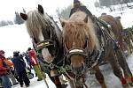 Tradiční karneval na lyžích i bez nich uspořádal v sobotu v Čenkovicích českotřebovský Ski klub.