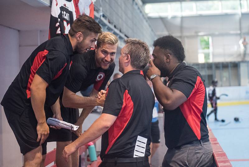 Na zimních stadionech v České Třebové a Litomyšli se odehrály zápasy Světového poháru v hokejbalu kategorie juniorů a dorostenců.