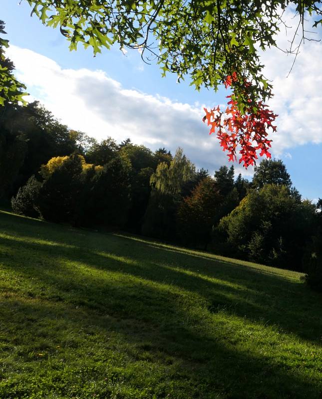 Zahrada živlů a okolí.