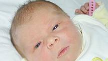Jana Řehořová se narodila 30. prosince v 9.33 hodin, kdy vážila 3,77 kg. Radují se z ní rodiče Jana a Pavel Řehořovi i sestřička Eliška z Rudoltic.
