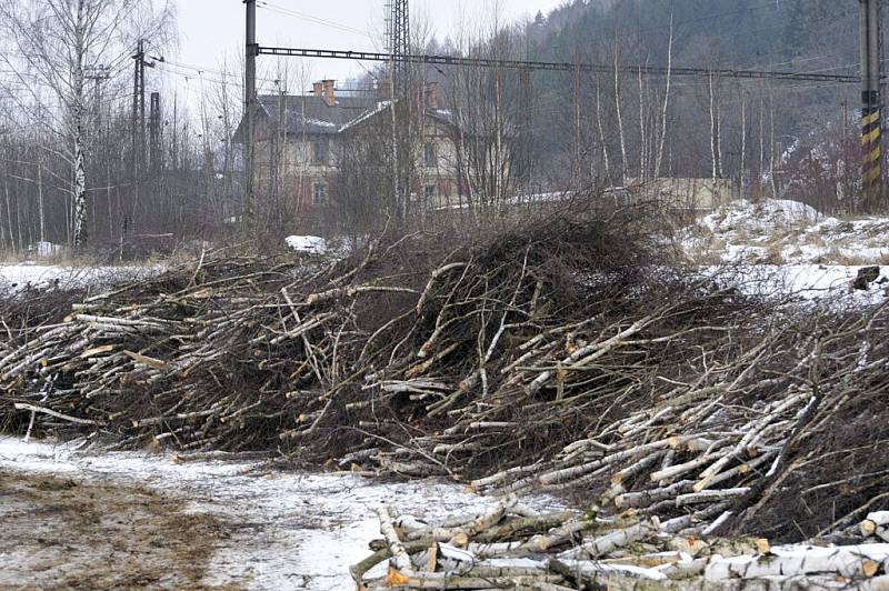 Výstavbě železničního koridoru předchází kácení stromů a dřevin.