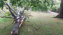 Bouře poškodila také arboretum u Domova pod hradem Žampach.