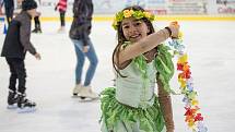 Na zimním stadionu v České Třebové se v sobotu konal karneval na ledě.