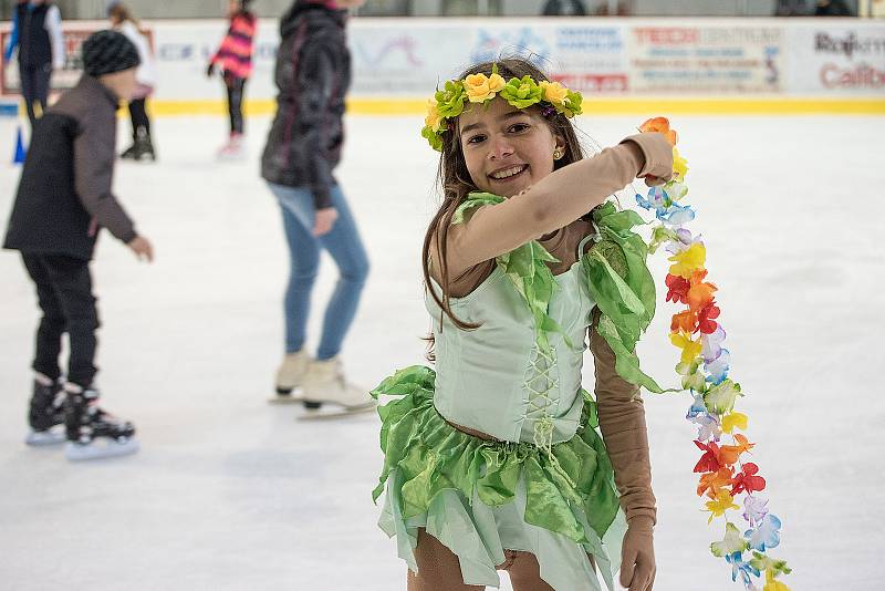 Na zimním stadionu v České Třebové se v sobotu konal karneval na ledě.