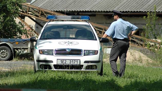 V Noříně na Orlickoústecku byl potvrzen na farmě brojlerů virus ptačí chřipky.