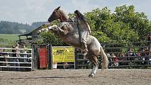 Rodeo v Libchavách.