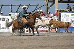 Rodeo v Libchavách.