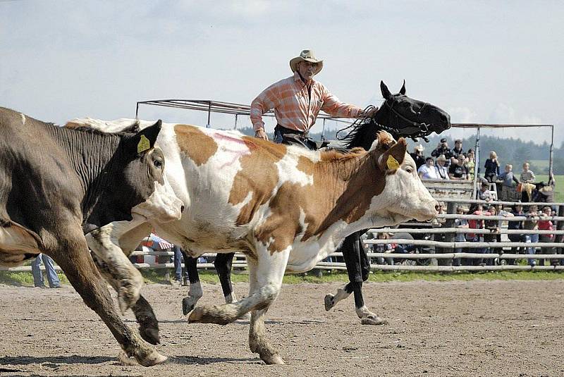 Rodeo v Libchavách.