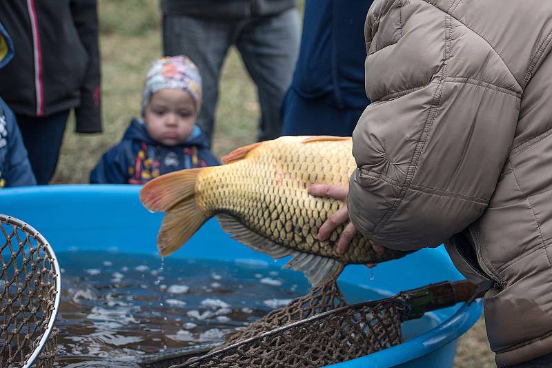 Na tradičním výlovu prodávali i ryby na grilu.