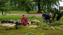 Bouře poškodila také arboretum u Domova pod hradem Žampach.