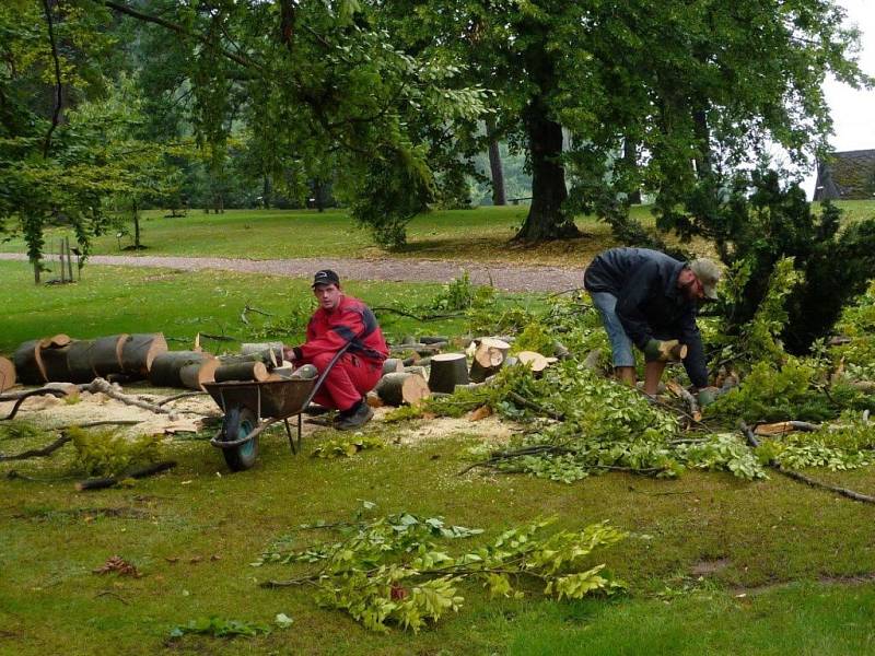 Bouře poškodila také arboretum u Domova pod hradem Žampach.