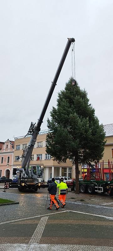 Strom je již na náměstí