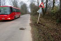 Řidič linkového autobusu u obce Stradouň sjel ze silnice.