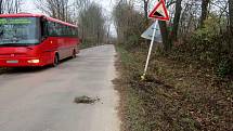 Řidič linkového autobusu u obce Stradouň sjel ze silnice.