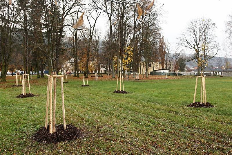 Město Ústí nad Orlicí prochází rozsáhlými úpravami.