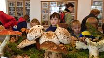 31. ročník výstavy hub na zámku v Chocni. Mykologům se podařilo dát dohromady 530 druhů hub - jedlých, nejedlých, jedovatých i vzácných.