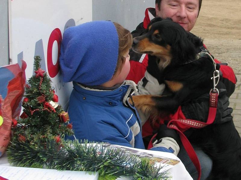 Štěkání na Ježíška v Canis centru v Dolním Třešňovci.