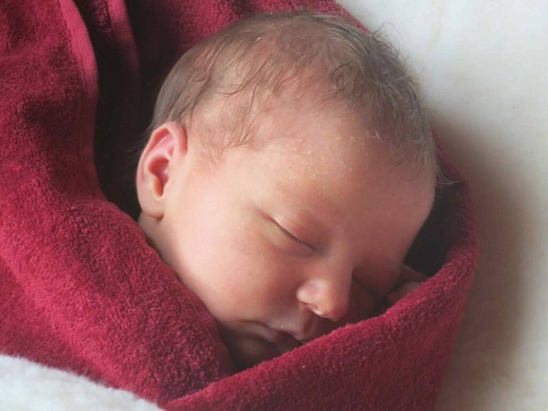 Anna Maria Oravec se  narodila  doma ve Studeném  6. 3.  ve 23.05  hodin. Radost z dcery mají rodiče Peter a Jitka Oravec.
