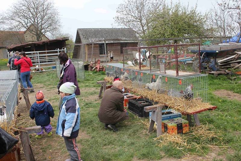 Den otevřených dveří na farmě Brůna.