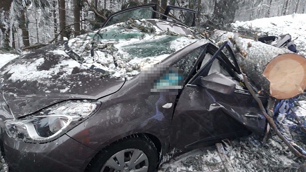 FOTO: Ženy přežily jen zázrakem. Padající strom zcela zdemoloval jejich auto