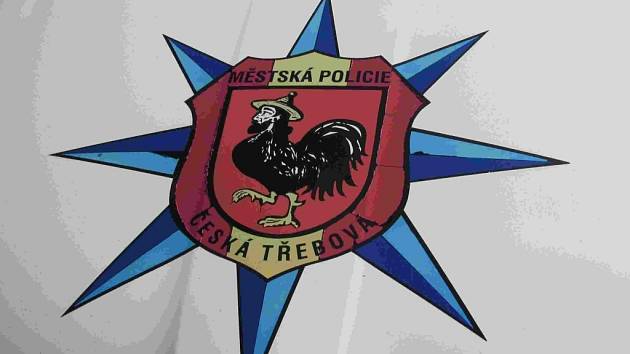 Městská policie. Ilustrační foto.