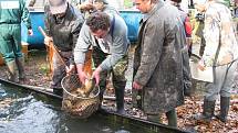 V sobotu se konal výlov rybníku Vrchovina u Chocně. Vydařil se po všech stránkách.