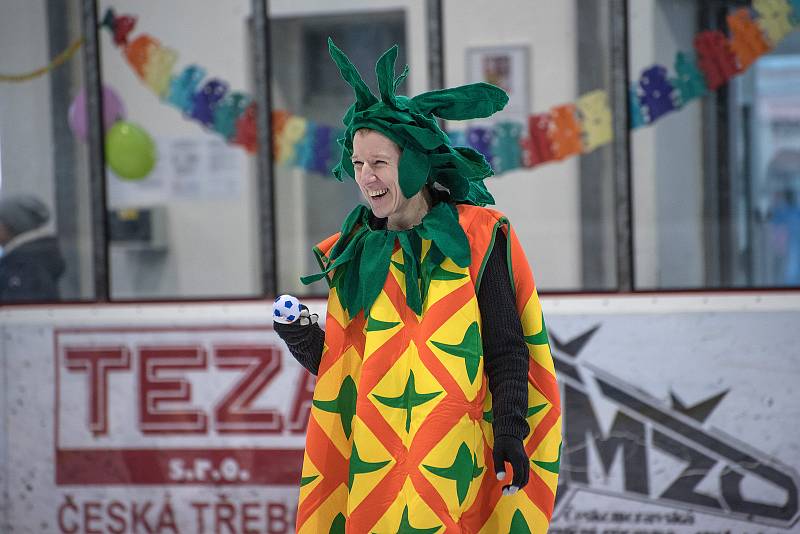 Na zimním stadionu v České Třebové se v sobotu konal karneval na ledě.