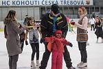 Na zimním stadionu v České Třebové se v sobotu konal karneval na ledě.