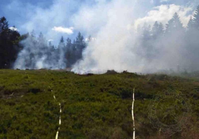Požár lesa u Bartošovic