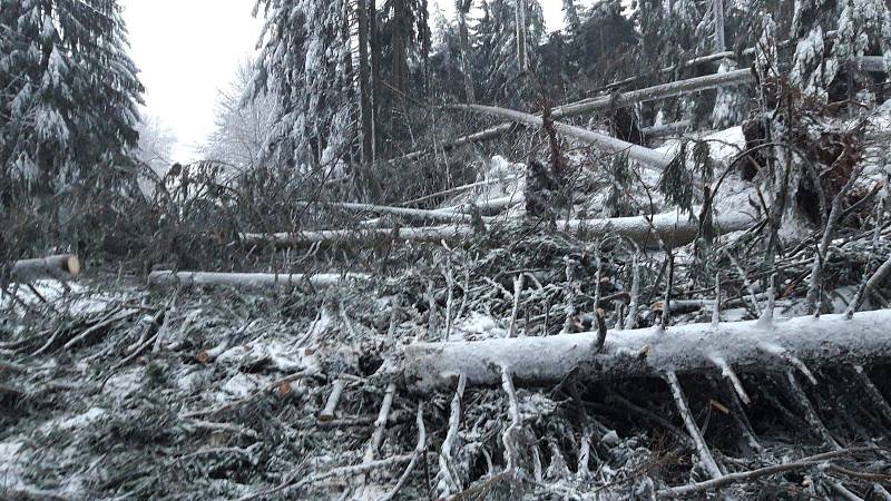 K havarovanému autu se záchranáři museli dostat pěšky, popadané stromy jim nedovolily k místu nehody dojet.