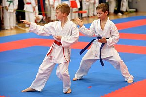 Ústecký soptík - závody v karate.