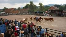 Libchavské rodeo.