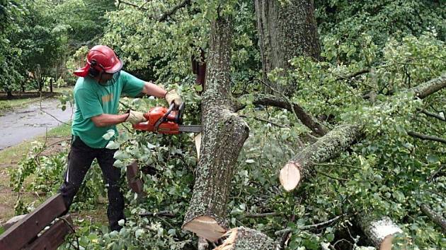 Následky bouřky v arboretu u Domova pod hradem Žampach.