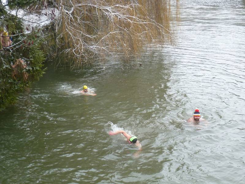 Otužilci uplavali 22 kilometrů v ledové vodě.