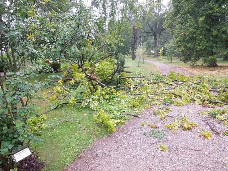 Bouře poškodila také arboretum u Domova pod hradem Žampach.