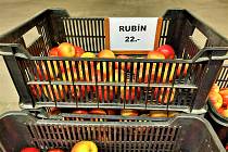 V Ostřešanech na Pardubicku probíhá prodej jablek.