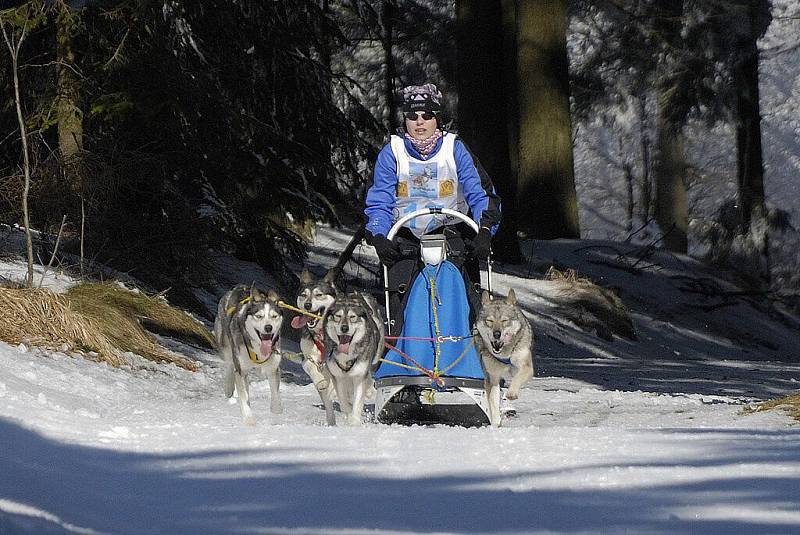 Ze závodů o Pohár Lady Bright Magadan. 