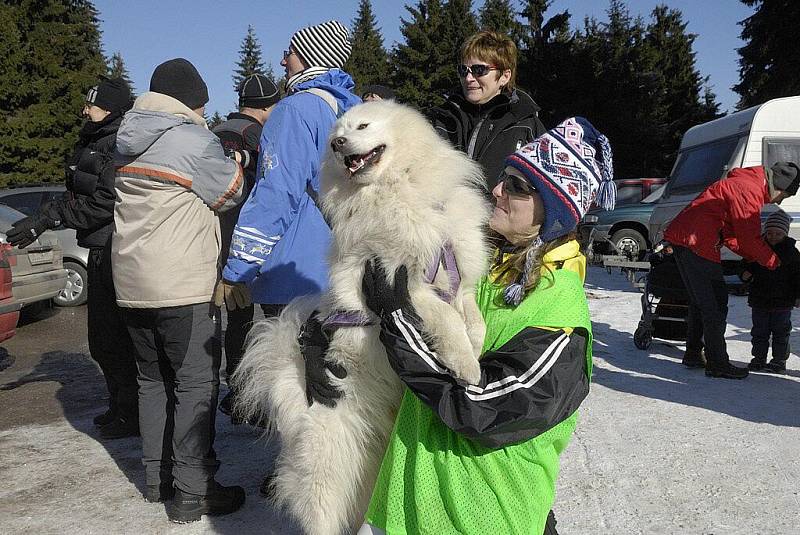 Ze závodů o Pohár Lady Bright Magadan. 