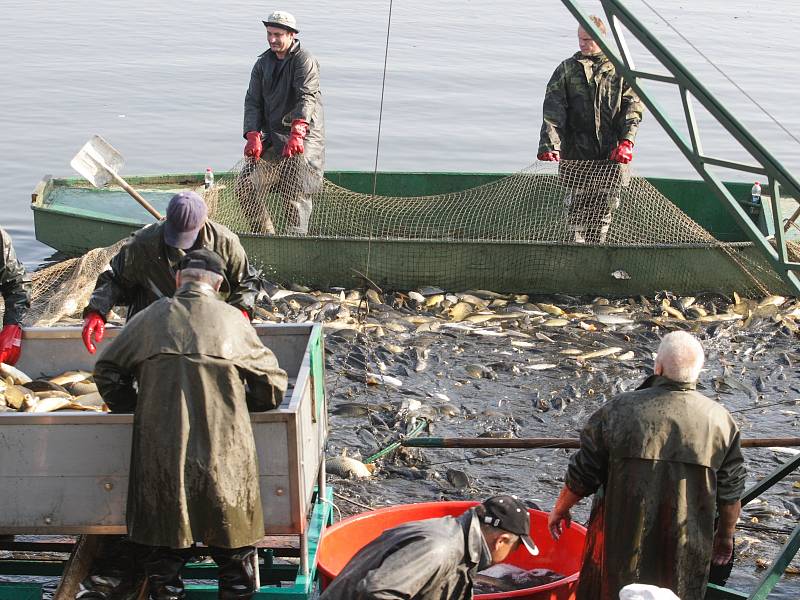 Kapři v rybníku Buňkov na Přeloučsku jsou nakaženi onemocněním zvaným KOIHERPESVIRÓZA a dochází k jejich úhynu. Virem se mohou nakazit pouze kapři a koi kapři, jiné ryby ne. Rybáři ale musí usmrtit i jiné ryby, aby nákazu nepřenášely. Týká se celkem zhrub