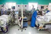 Zdravotnický personál se stará o COVID pacienty na ARO ve východočeských nemocnicích. 