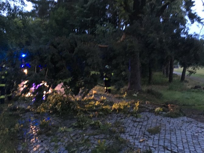 Bouřkou poničené stromy v Lázních Bohdaneč.
