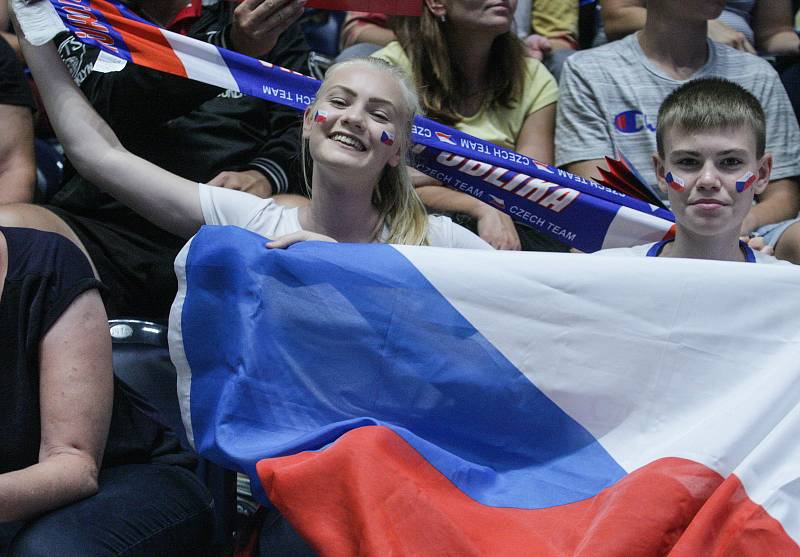 Basketbalové utkání kvalifikace na Mistrovství světa 2019 mezi Českou republikou (v bílém) a Ruskem (v červeném) v pardubické ČSOB pojišťovna ARENĚ.