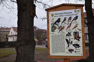 V Přelouči nechala radnice nainstalovat přes 90 ptačích budek, aby ptáci měli kde hnízdit. Všechny budky jsou obsazené.