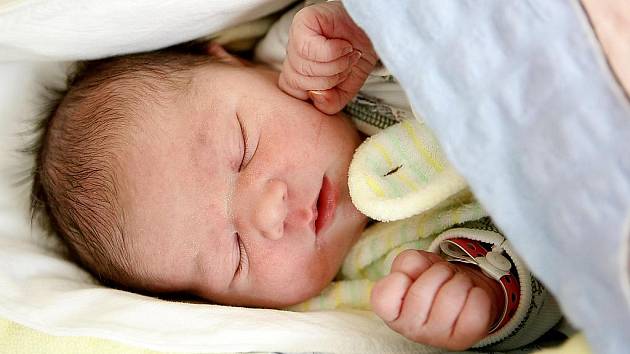 Adéla Brňáková se narodila 8. dubna v 0:09 hodin. Měřila 49 centimetrů a vážila 3280 gramů. Maminku Pavlínu u porodu podpořil tatínek Martin. Doma v Dolní Rovni čeká ještě tříletý bráška Štěpán.