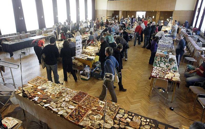 MEZINÁRODNÍ prodejní a výměnná výstava minerálů, šperků a fosílií přilákala do Domu kultury Dukla v Pardubicích šest desítek vystavovatelů a téměř šest stovek návštěvníků.