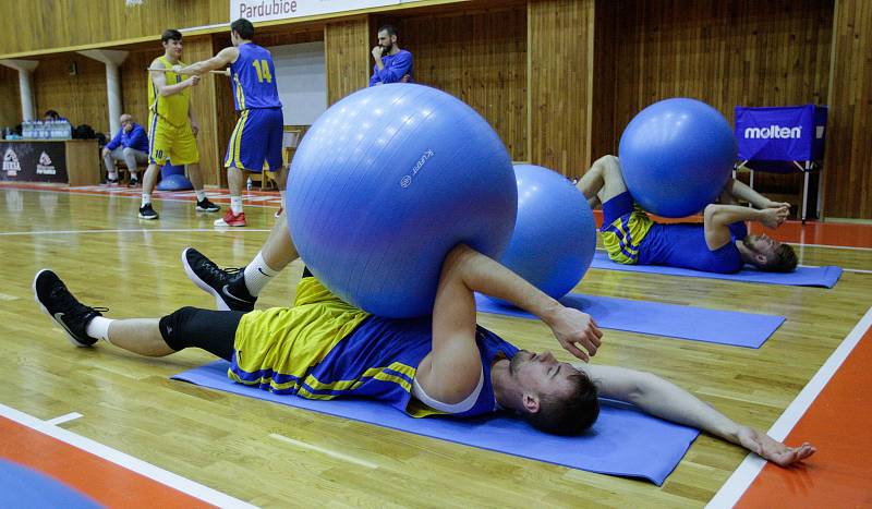 Sraz české reprezentace mužů před kvalifikačním zápasem o Světový pohár  v Číně 2019 s Islandem. Trénink v pardubické hale Na Dukle.