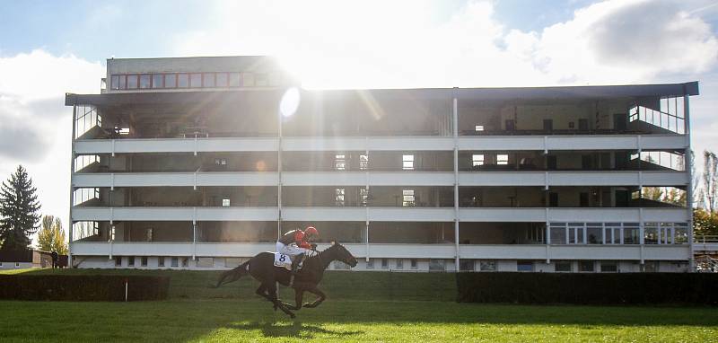 Zahájení 130. Velké pardubické se Slavia pojišťovnou, která se konalo před prázdnými tribunami na pardubickém dostihovém závodišti.