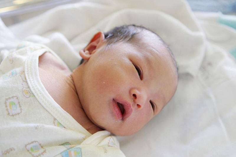 Viet Anh Ta Dinh se narodil 31. ledna ve 12:15 hodin. Měřil 49 centimetrů a vážil 2970 gramů. Maminku Lan u porodu podpořil tatínek Tu a bydlet bude rodina v Pardubicích. 
